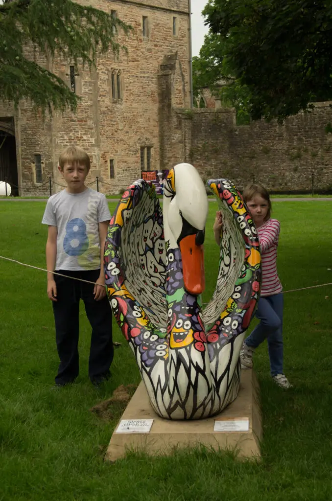 The swans of Wells 26 Toothy Fruty - No 58
