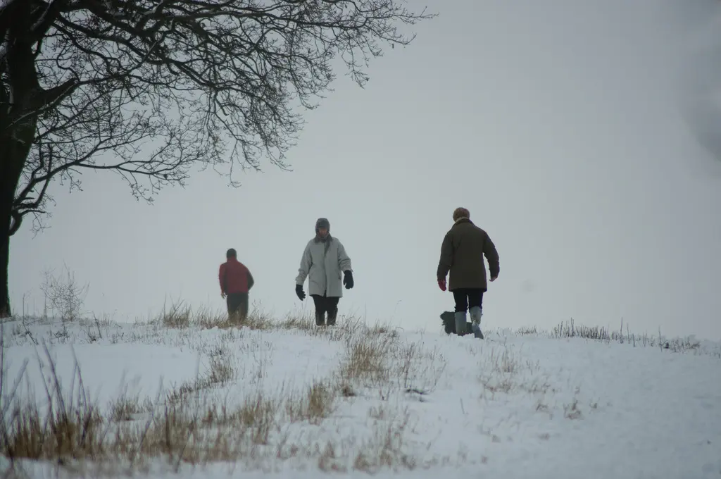 Walk in Winter 2 walk in winter