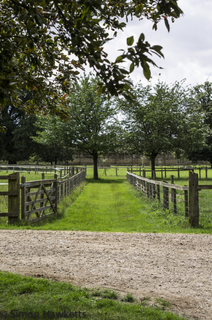 wimpole hall in cambridgeshire pictures pathway