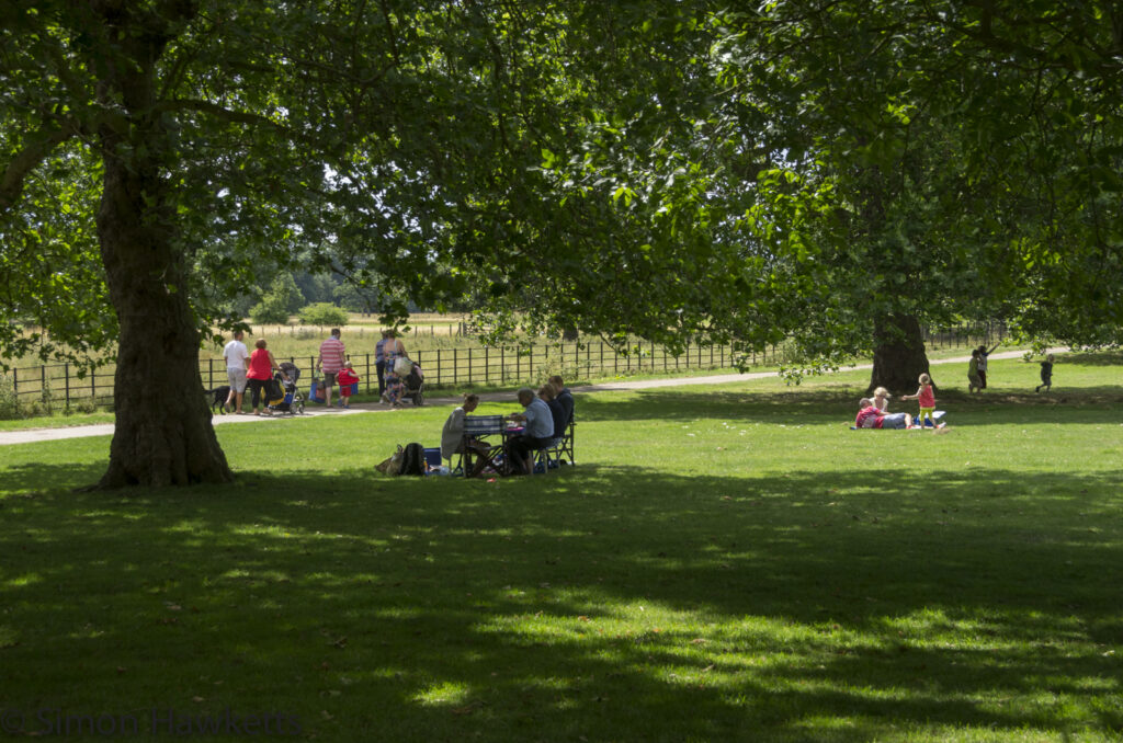 wimpole hall in cambridgeshire pictures picnic under the trees