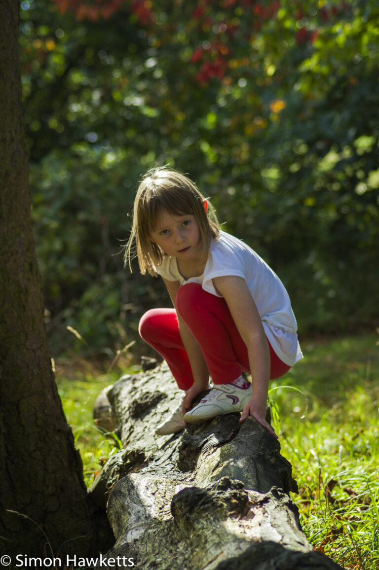 Young girl in Sunlight