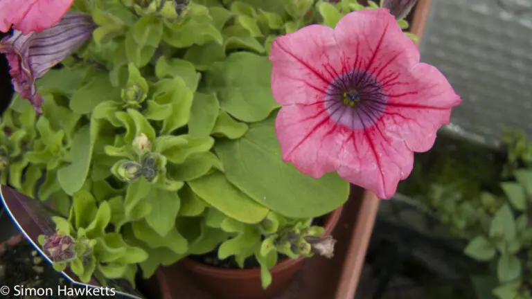 How depth of field in photography works 44 How depth of field in photography works